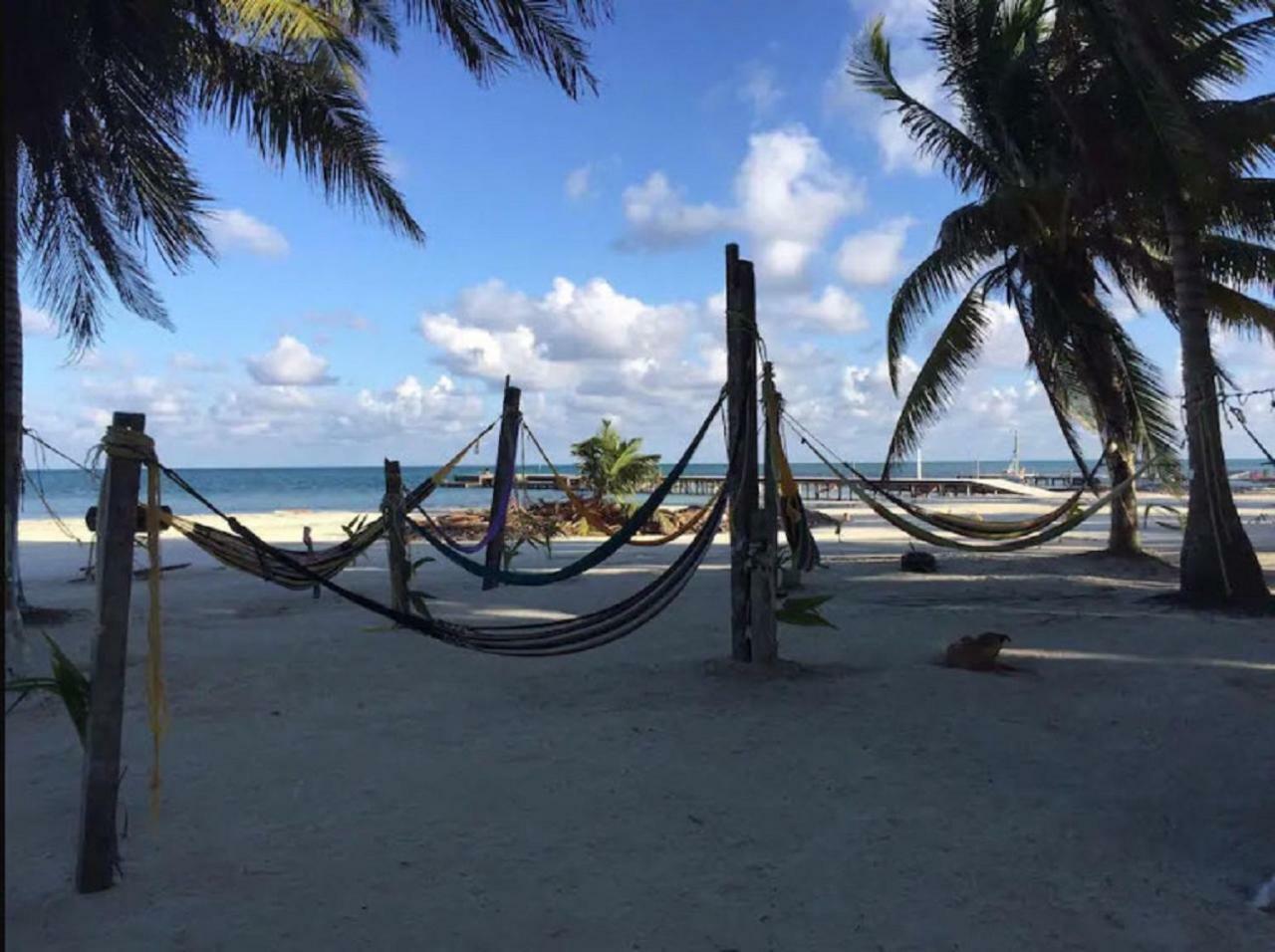 Caye Caulker Beach Hotel Kültér fotó